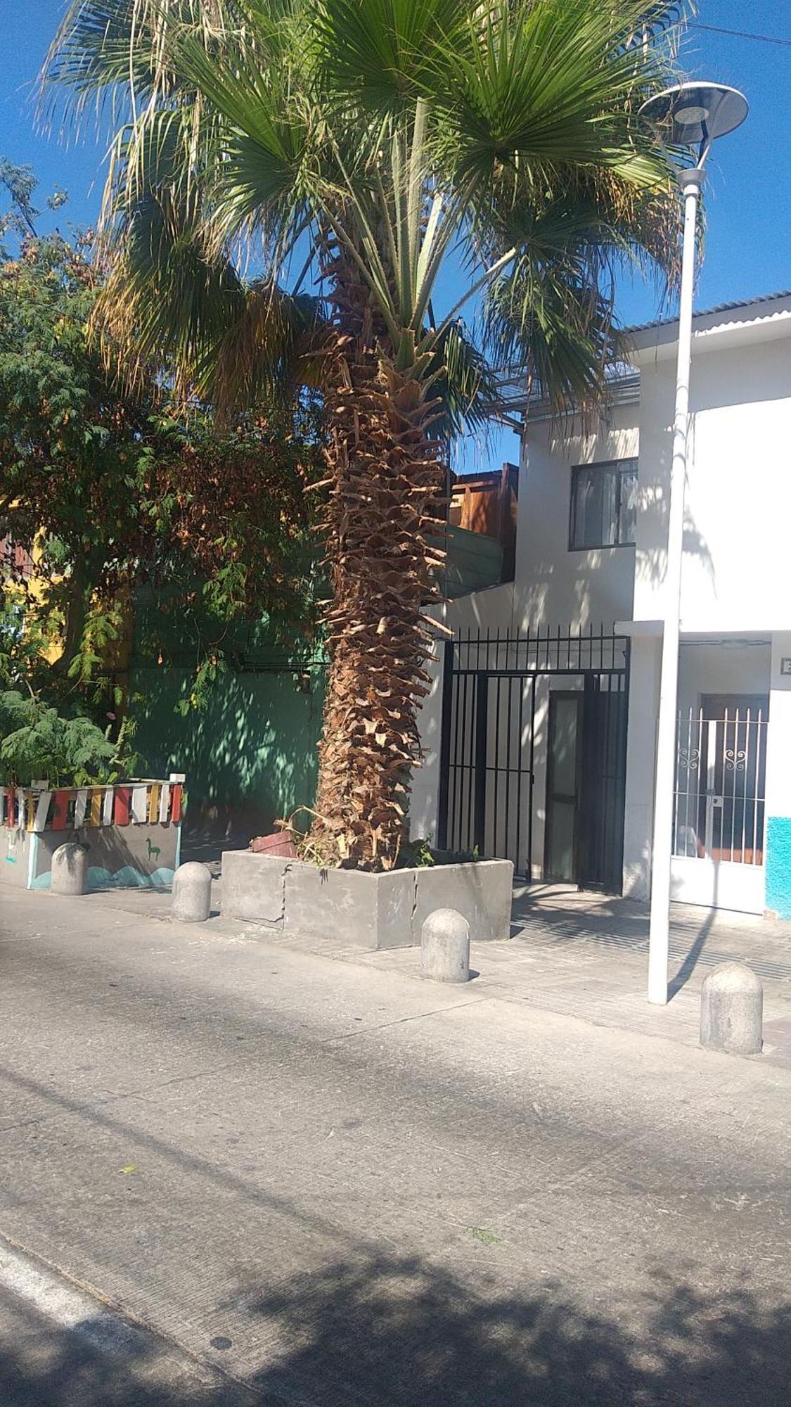 Hostal La Ruca أنتوفاغاستا المظهر الخارجي الصورة